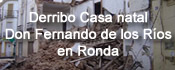 derribo casa don fernando de los ríos